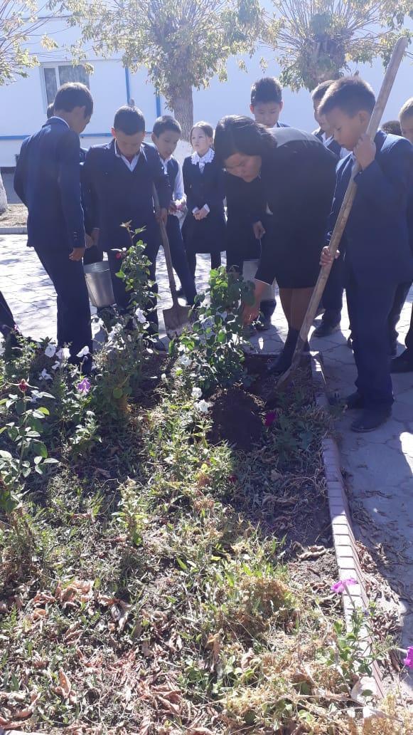 "Экосағат" акциясы