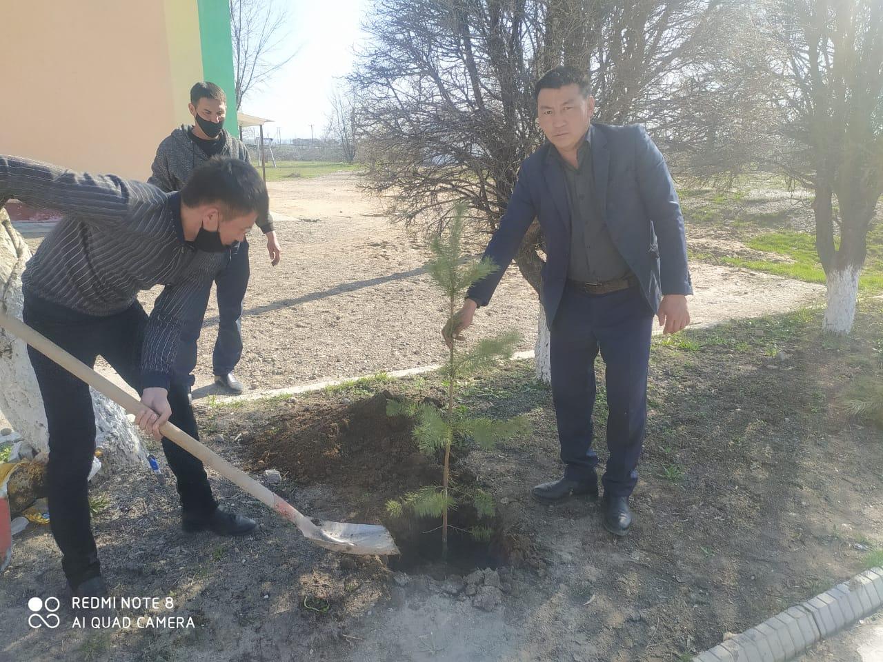 Мектепті безендіру
