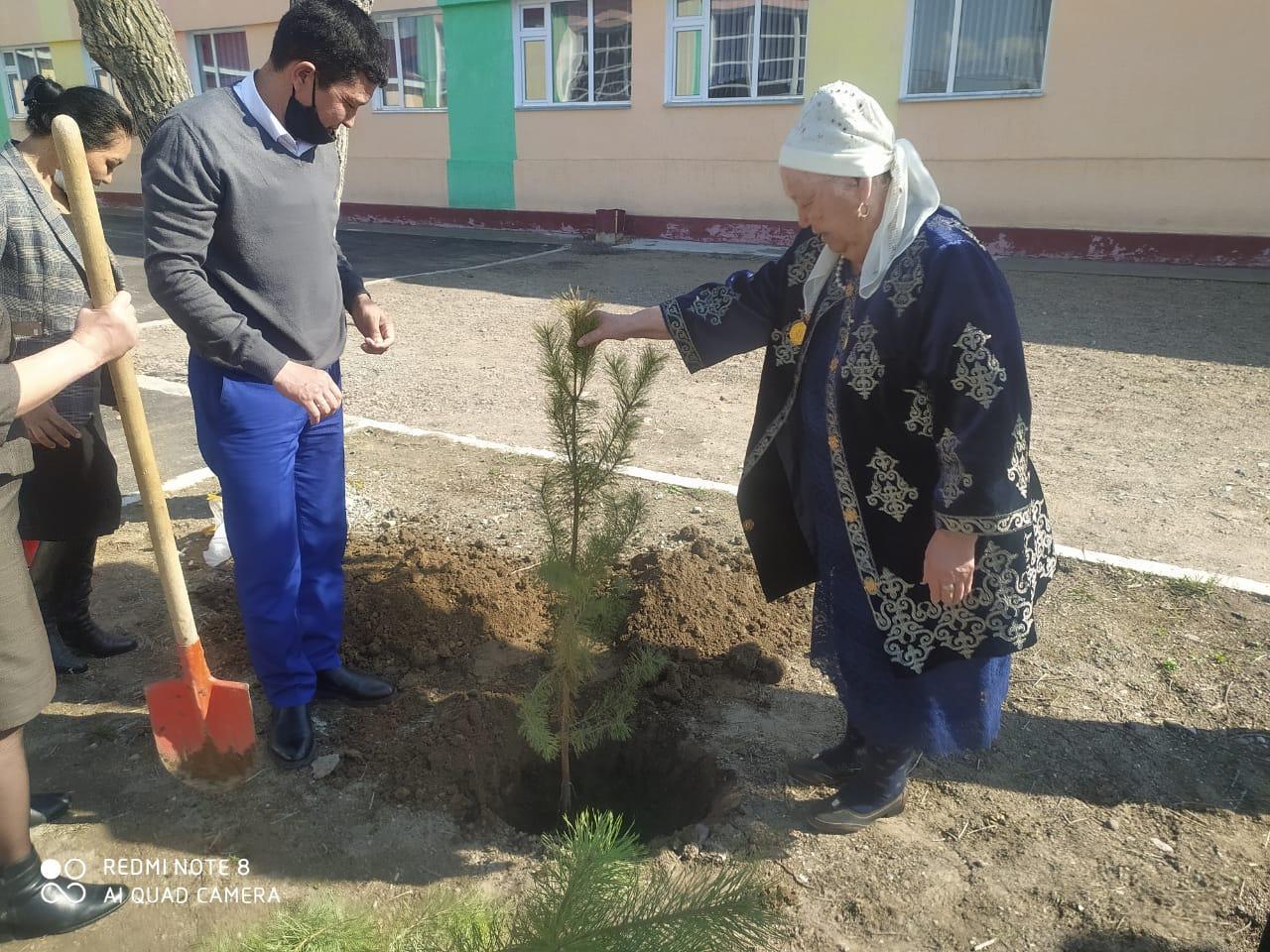 Мектепті безендіру