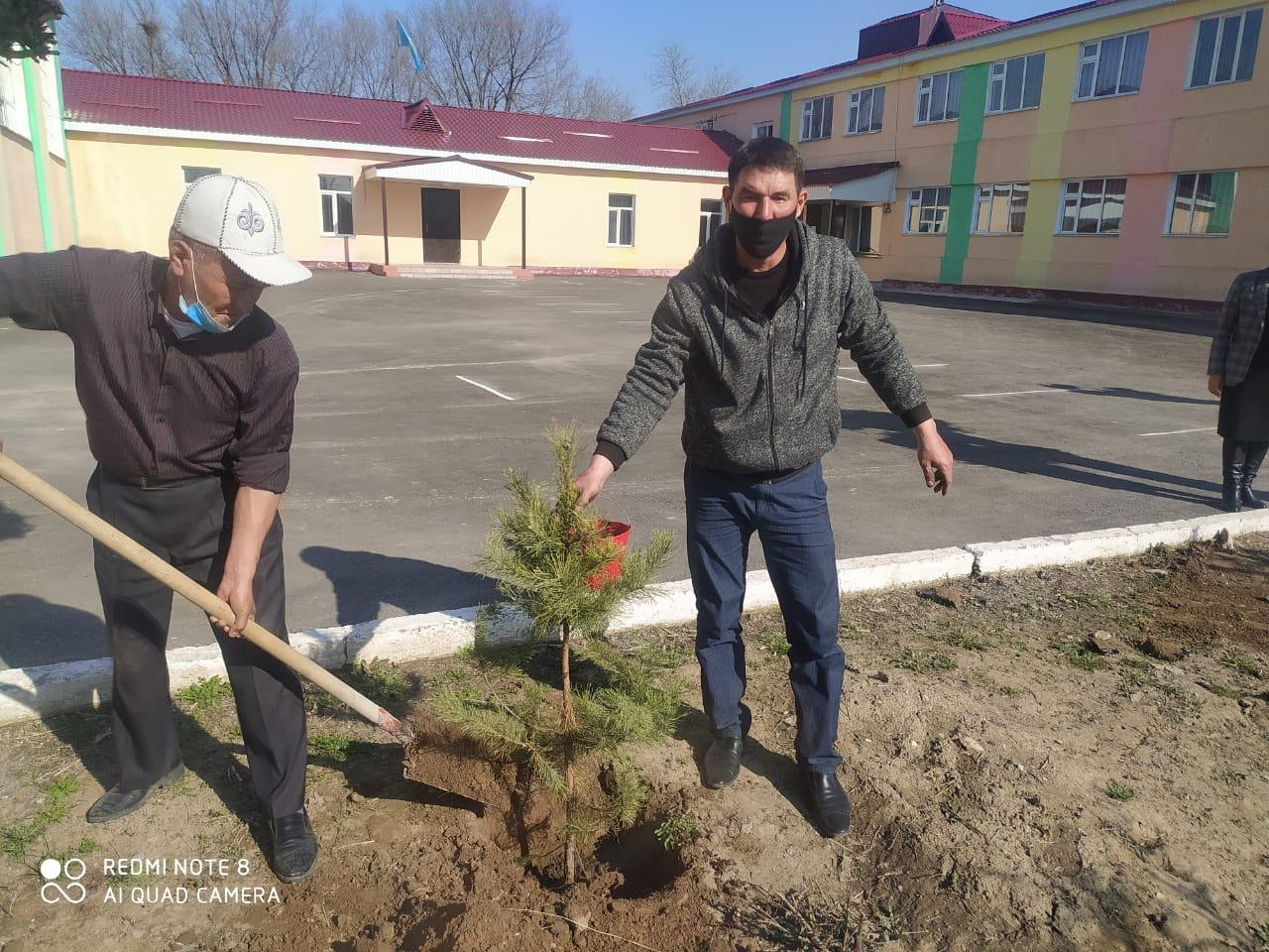 Мектепті безендіру