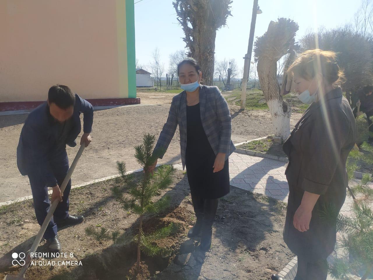 Мектепті безендіру