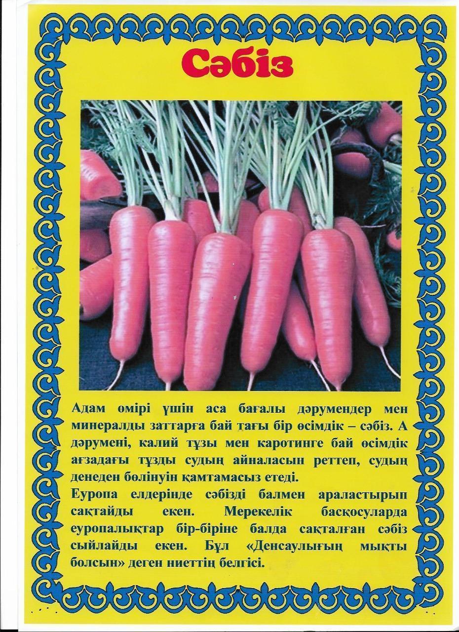 Ыстық тамақпен қамту.